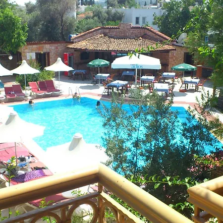 Moonshine & Hotel 3*