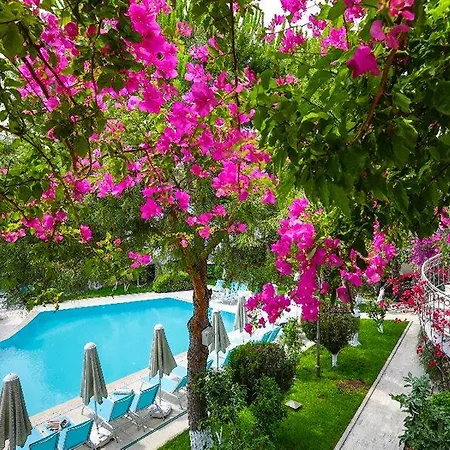 فندق Moonshine &