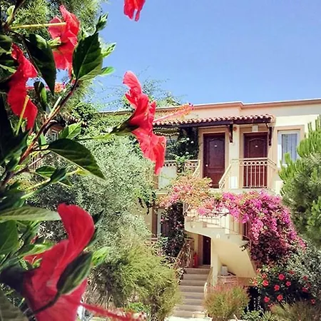 Moonshine & 3* بودروم