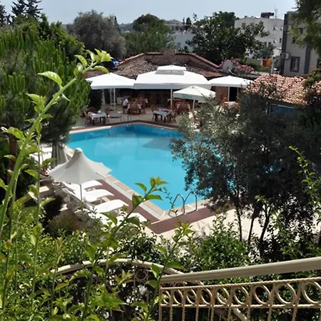 Moonshine & Hotell 3*