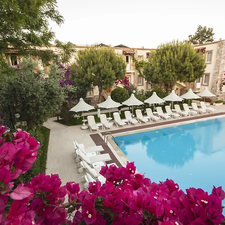 Moonshine & بودروم