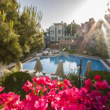 Moonshine & 3* بودروم