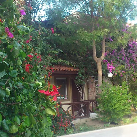 Moonshine & فندق بودروم