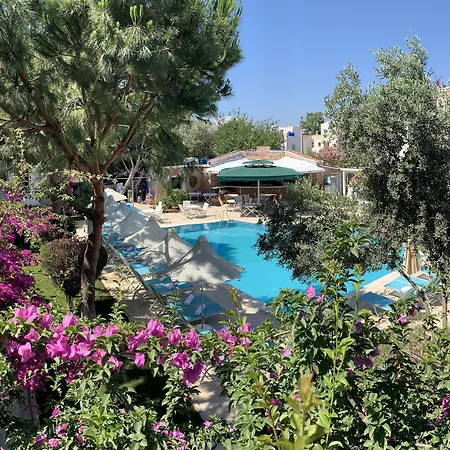 Moonshine & فندق 3*