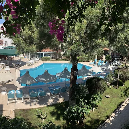 فندق Moonshine &