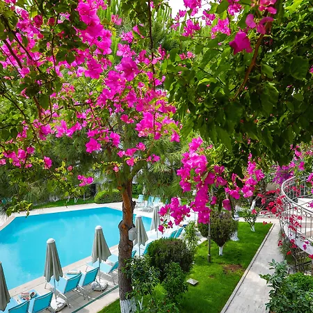 فندق Moonshine & 3*