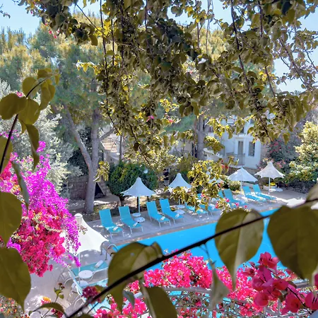 Moonshine & Hotel Bodrum