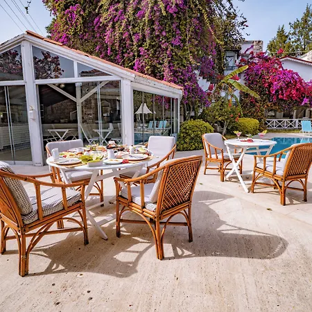 Moonshine & Bodrum