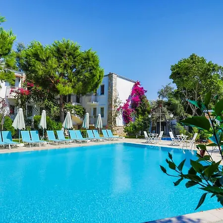 فندق Moonshine & 3*