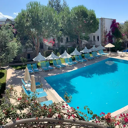 فندق Moonshine &